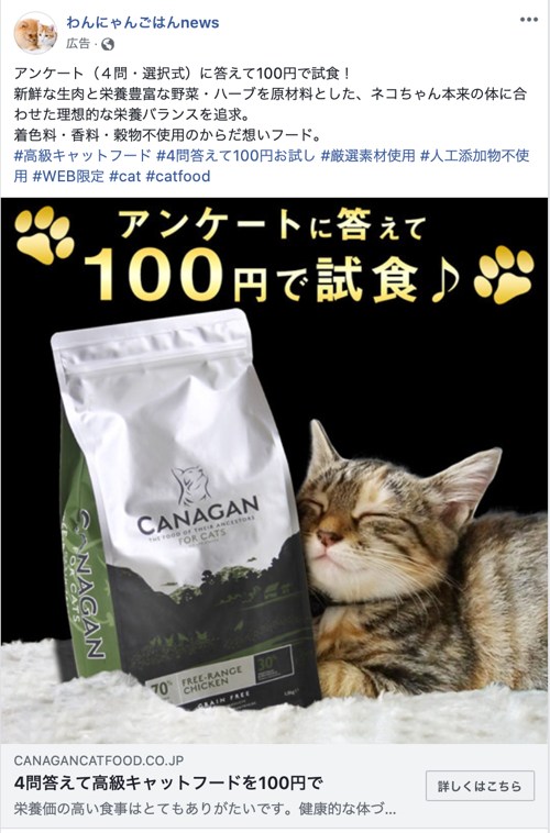 Facebookのカナガン100円モニター広告