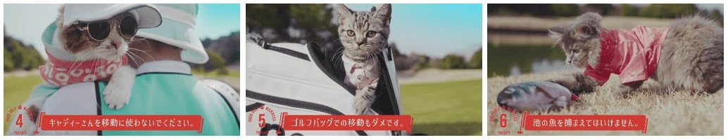 猫のためのゴルフマナー講座