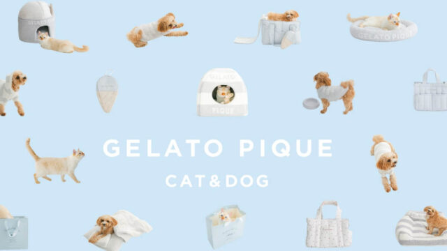 GELATO PIQUE CAT&DOG