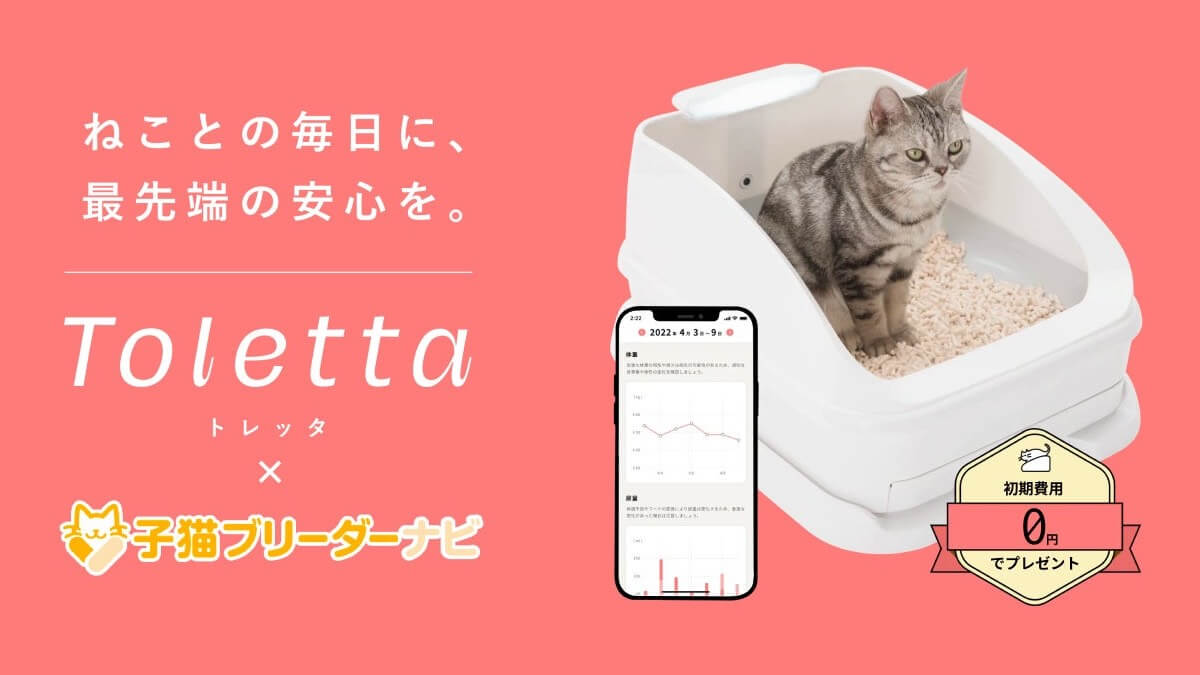 子猫ブリーダーナビ成約特典に「Toletta」追加　初期費用タダ