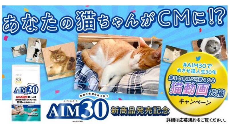#AIM30でめざせ猫人生30年