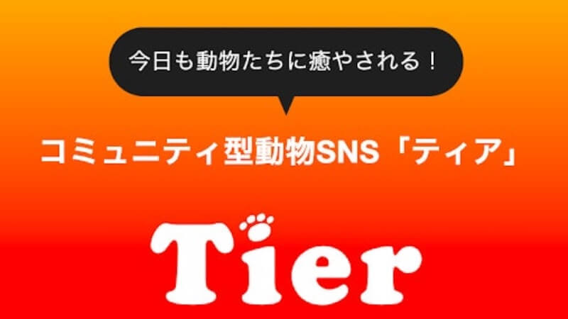 動物専門SNSアプリ「Tier」リリース｜投げ銭システムも実装予定