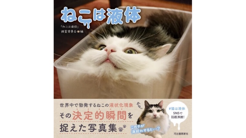 液状化した猫を捉えた写真集「ねこは液体」｜イグノーベル賞にも関係が？
