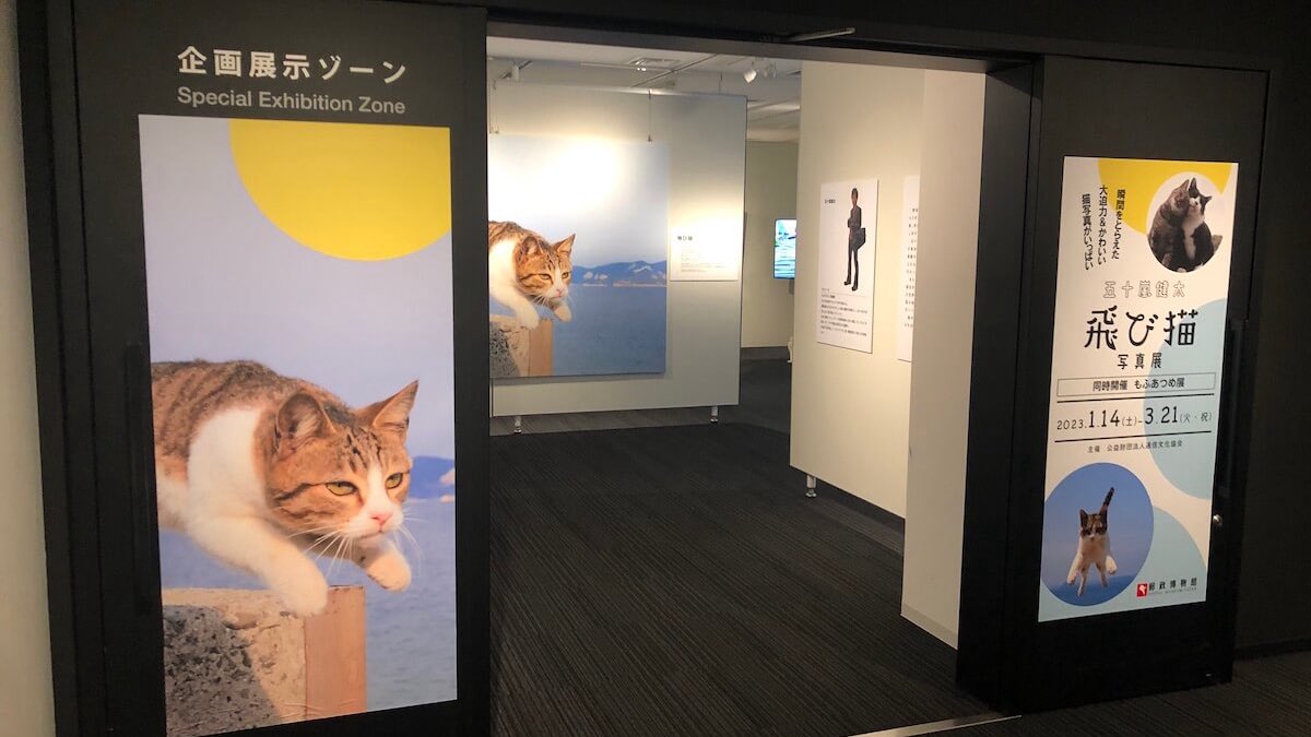 五十嵐健太の飛び猫写真展＆もふあつめ展＠郵政博物館に行ってきた
